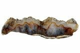 Polished Trent Agate With Stibnite & Realgar - Oregon #302887-1